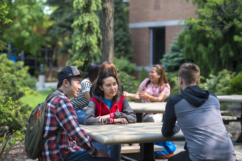 Students sitting at a picnic table