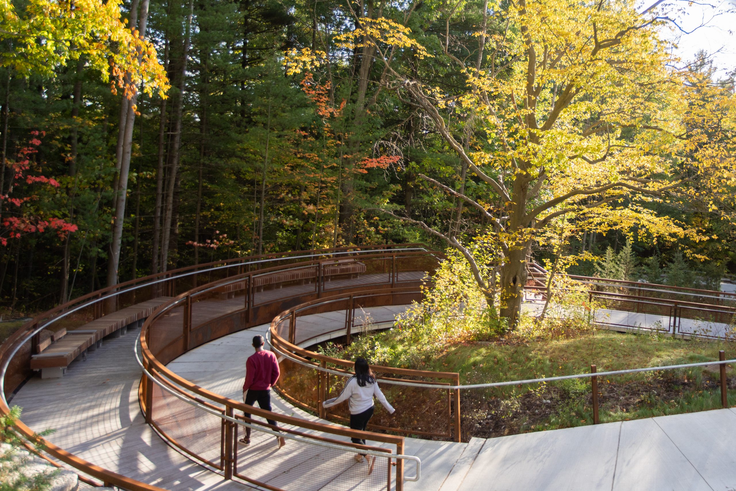 Valley Land Trail at the University of Toronto Scarborough Campus