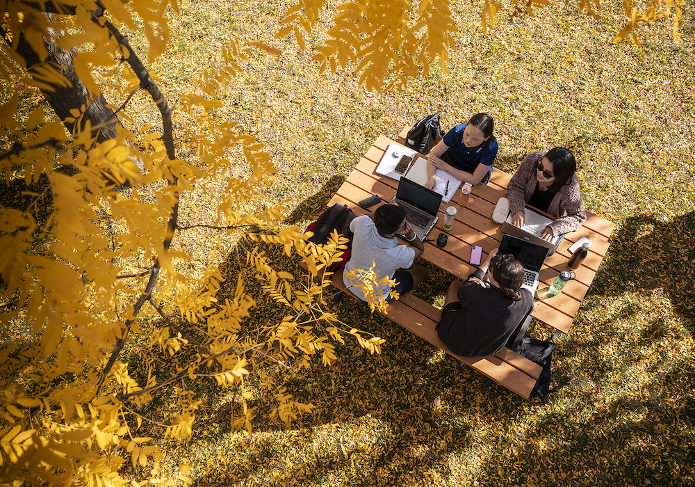Four students with notebooks, laptops, water bottles at a picnic table on campus, yellow fall leaves in foreground