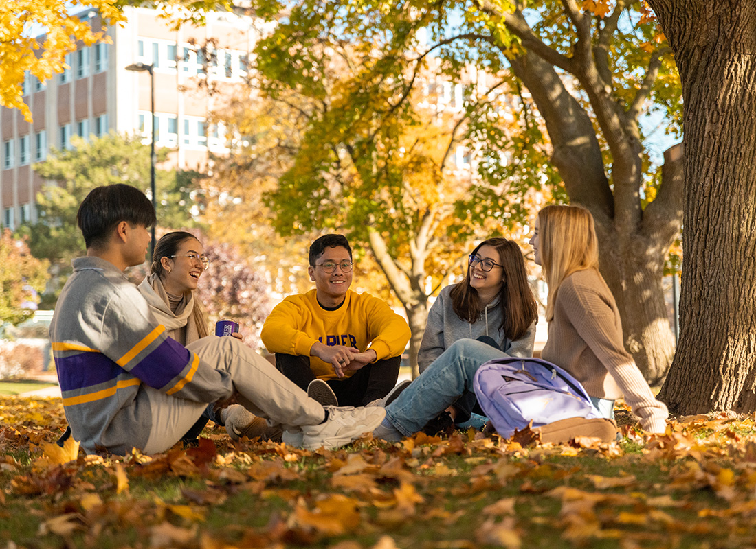 Students sitting outside the shade of a tree